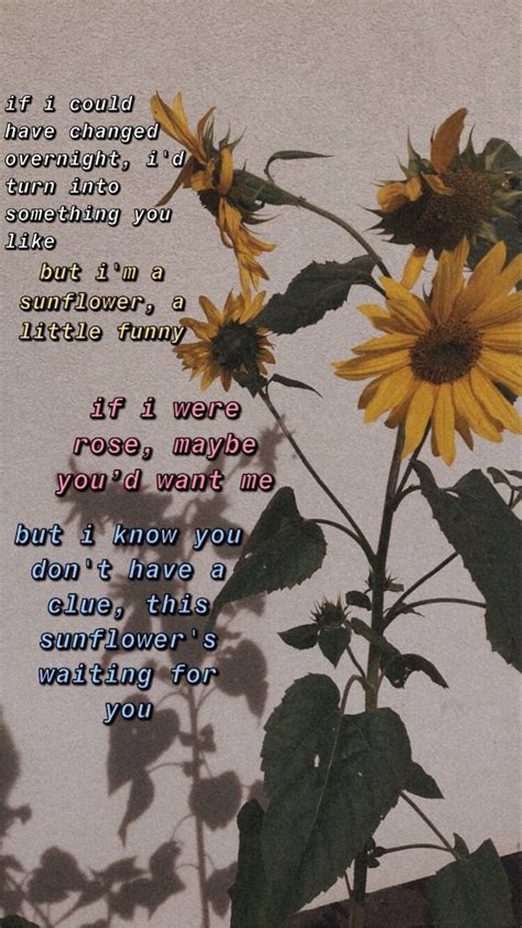 You're the sunflower. Every time I'm leavin' on ya. You don't make it easy, no, no. Wish I could be there for ya. Give me a reason to go. Every time I'm walkin' out. I can hear you tellin' me to turn around. Fightin' for my trust and you won't back down. Even if we gotta risk it all right now, oh.